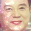 조례동술집