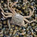 구례의길(섬진강길) 이미지