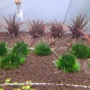 신용 아쿠아 수족관 이미지