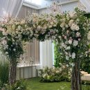 다르미앙 이미지