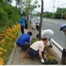 국동 장어탕, 횟집거리 이미지