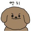 트리트멍트 이미지