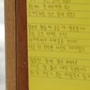 드렌도트