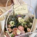 주식회사비플랜트 | 24년 8월 19일 : 8월 일상(2) 드레스 고르고 밥해먹고 텃밭 가꾸고 비 맞고(?)