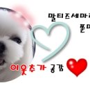 스타세차천국 이미지