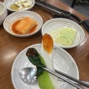 조가네갑오징어 이미지