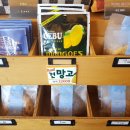 토프레소용두역점