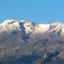 화산오리