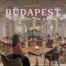 카페뉴욕 | 부다페스트 뉴욕카페 예약 없이 오프런 후기 여행 코스 추천