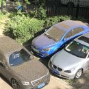 신박한세차 이미지