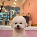 그루밍베베 이미지