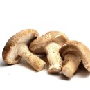 사랑한의원 이미지