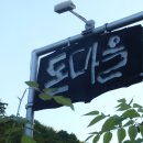 돈마을 이미지