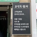 고영국참치