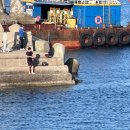 다경씨사이드 이미지