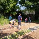 에코팜농장 이미지