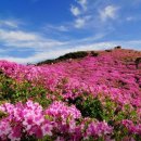 아름다운풍경 이미지