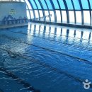 도고글로리 수영장 이미지