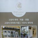 캣살롱코코 네이버블로그