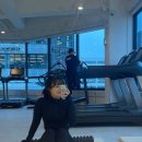 새로이 핏 이미지