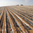 순호농장 이미지