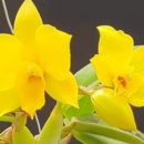 골든루트주유소 이미지