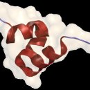 오스테오인 이미지