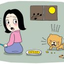 포레동물병원 이미지