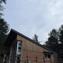 청태산 자연속으로 | 청태산자연휴양림, 숲속의 집 삼나무 후기