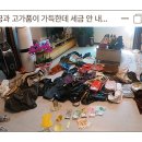 기동반-69 이미지