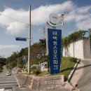 태백동스포츠파크 풋살장 이미지