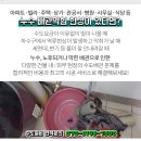 사직동 주민센터화장실 이미지