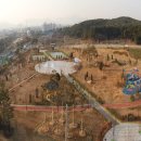 삼정자로 이미지