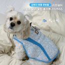 율무 용품 | 강아지 쿨링 쿨조끼 러프웨어 스왐프 쿨러 2025SS 내돈내산 후기