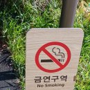 돈암마을마당 공중화장실 | 고성 가볼 만한 곳 애견동반 여행 고성왕골마을