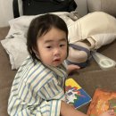 굿모닝카랜드