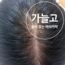 필투연구소 | 식약처 인증 탈모샴푸 닥터필투! 한방.천연.자연유래성분의 탈모완화 기능성 샴푸로 탈모를 방지해요.
