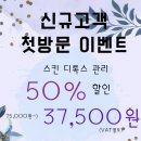 피부홀릭