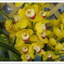 여울농장 이미지