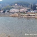 둔덕청마꽃들작은도서관 이미지