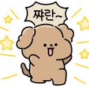 애견펜션 돌봄 이미지