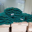 세종양봉백화점 이미지