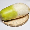 피트리움 이미지