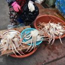 안동고을 한국일보