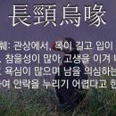 장강 - 전주시 덕진구 | 장강