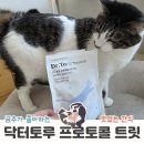 토르캣 | 내고양이 30살 프로젝트 AIM단백질 닥터토루트릿 9개월 급여후기