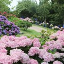 신안(여) 이미지