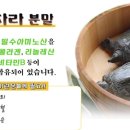 다이아약국 이미지