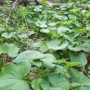 예정농장 이미지