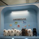 금호로1길 이미지